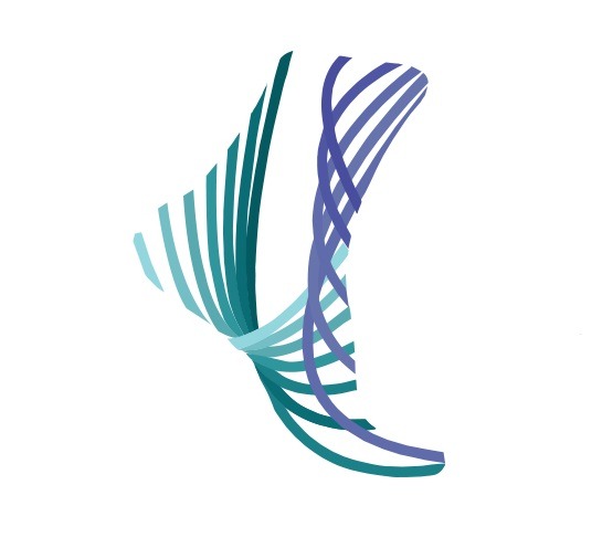 stanmore foot and ankle specialists logo